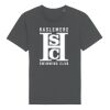 Rocker the essential unisex t-shirt (STTU758) Thumbnail